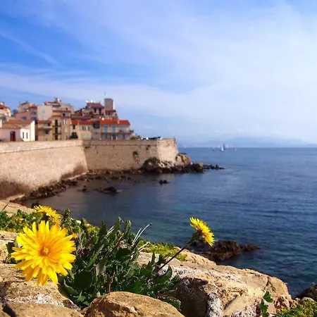 Apartman Port De Salis Appart 3p *
